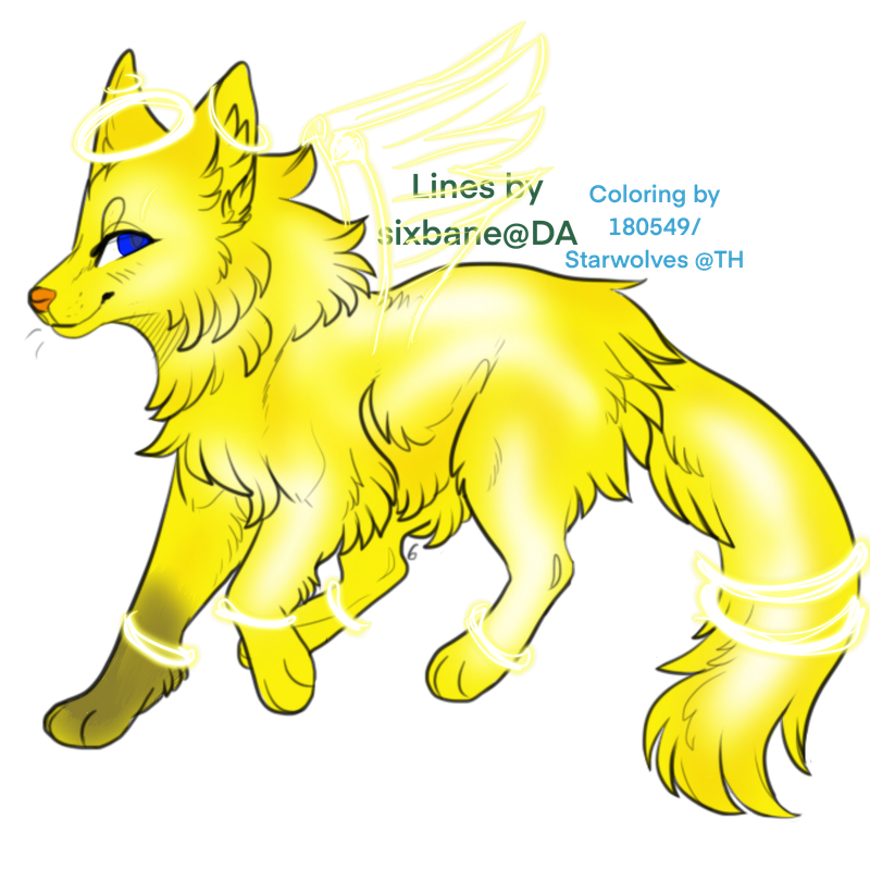 43688093_1SGyvaJL0mffAND