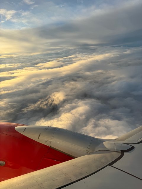 IMG-2331.jpg