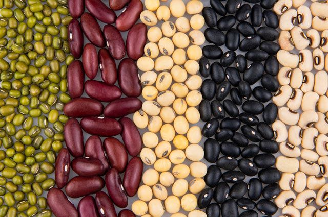 Покупатель российской фасоли