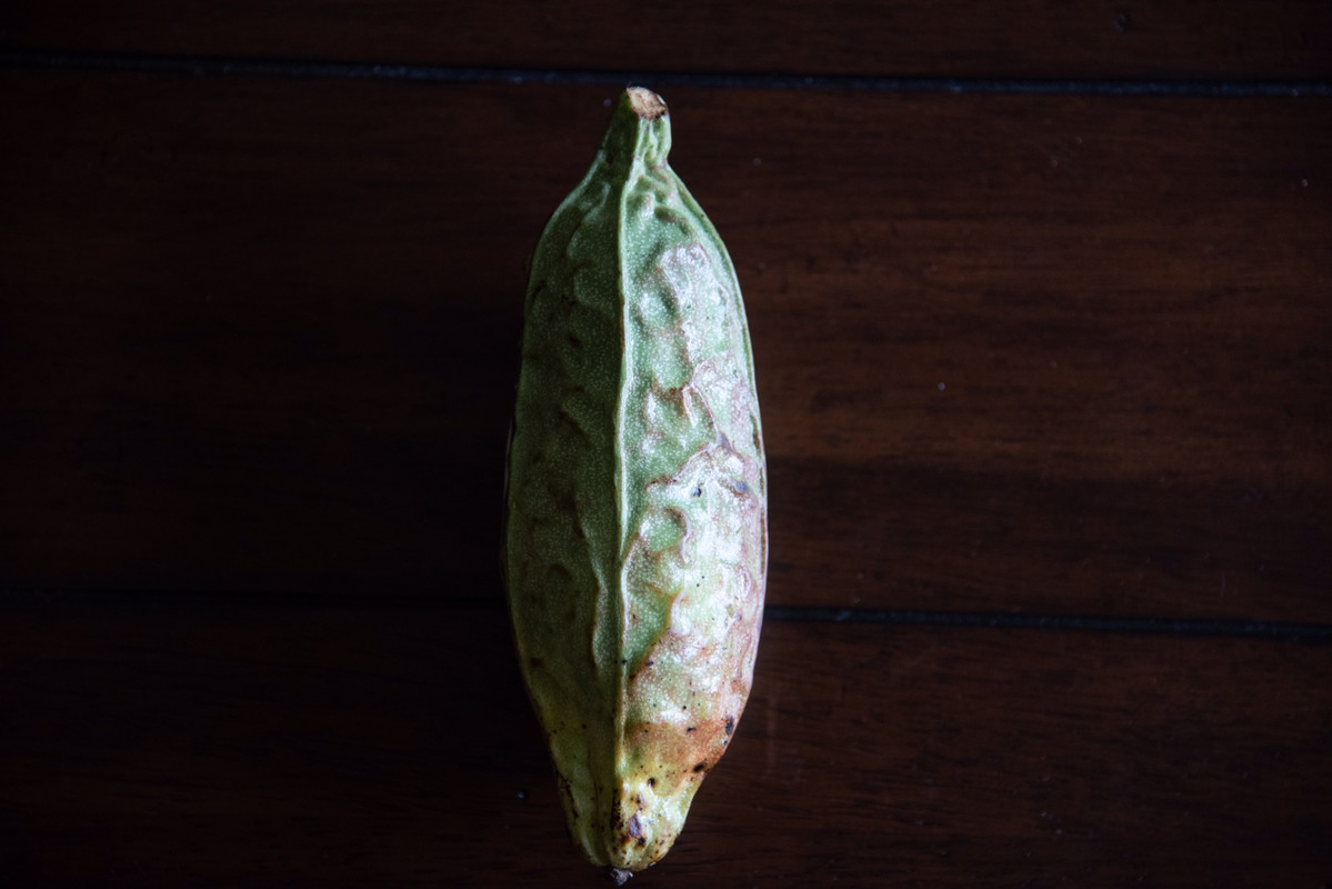 AA7EC22B-7456-47C5-835C-C98451C4D5FB