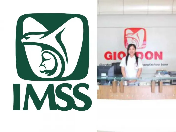 IMSS demanda a una empresa china por plagiar su logo