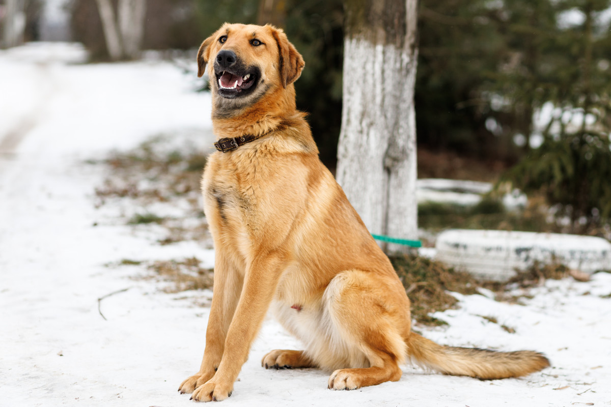 RRDaPGIDaq6DTzmuK1VD5M8ajQq-SiqQC88JhwteuRMjobVWQwOqxZOVL1QNMHNFbJAAOymUjTbPCjc9fyN1Lg==?uid=0&filen