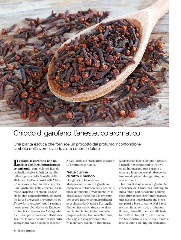 Il Mio Giar Nov-Dic 2021 (10)