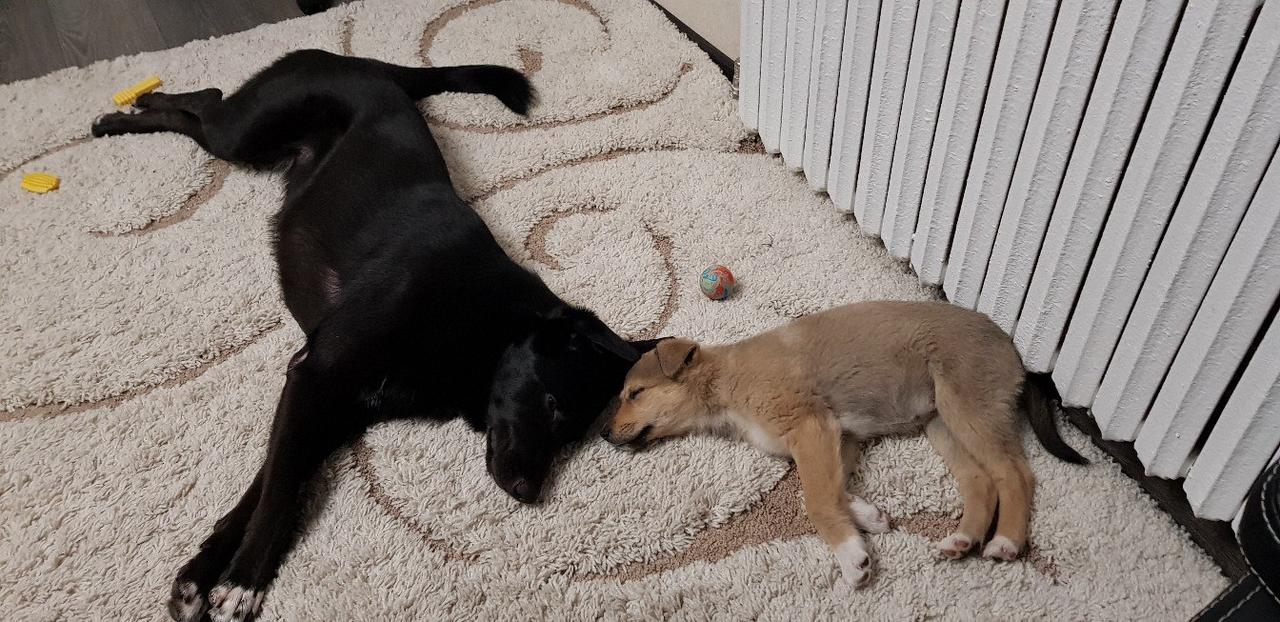 5000076C-F6E8-4556-946B-1E3E25F96FF1