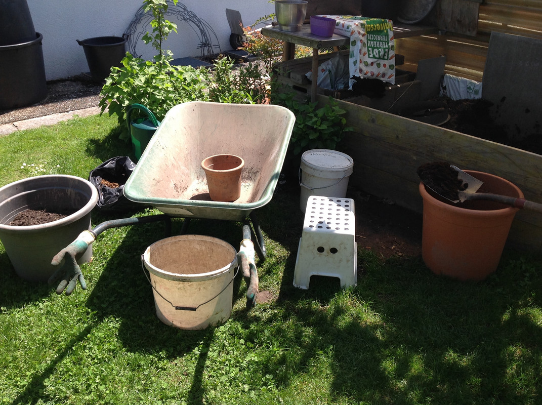 Tomaten 2016 Pflanzsubstrat bereitstellen (2)