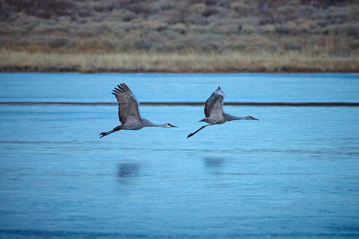 5BD4A4E5-C3E1-4A8F-94BF-339BBC195293