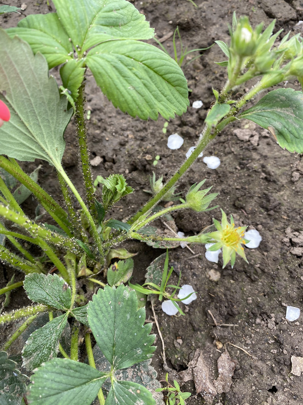 C3CB65AE-7797-4C7C-8D14-CA7CEA36224B