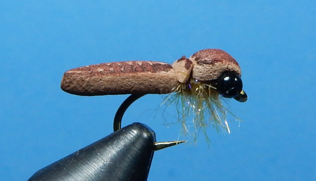 Hatching-Foam-Pupa-1080.jpg Hatching-Foam-Pupa-1080.jpg