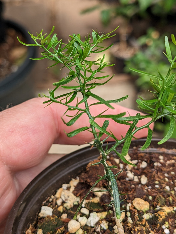 PXL_20230601_194215438