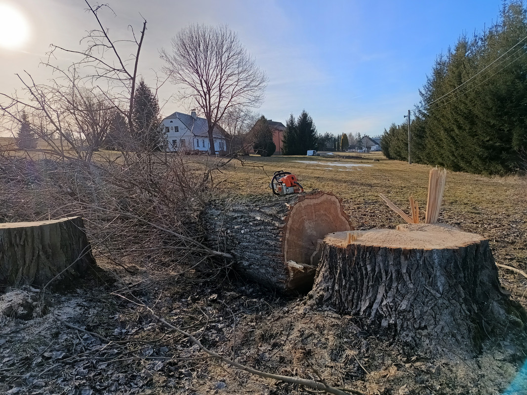 IMG_20250304_153833538_HDR