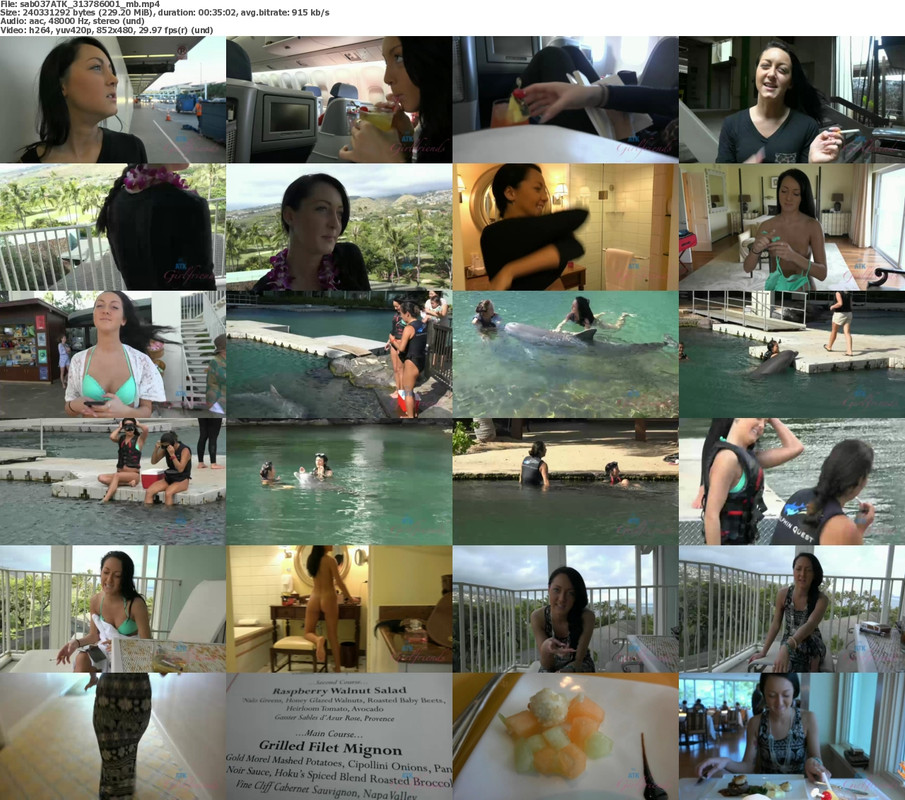 14112024225239screenshot