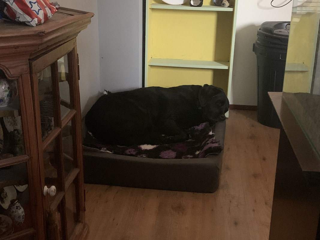 FXZxMDJXgAE9Nlb