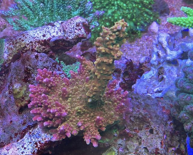 58F76E12-4F61-4A50-B646-DC08482E7752