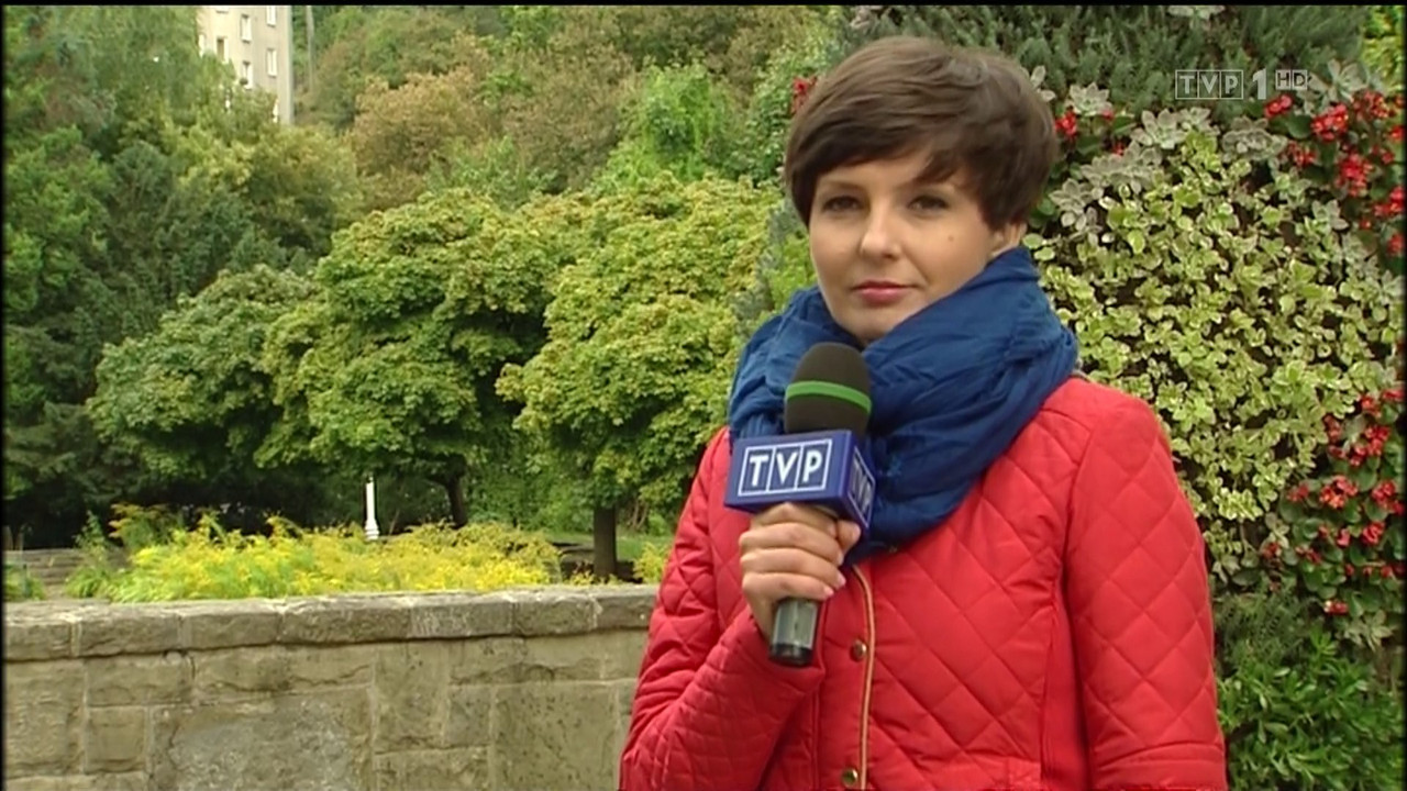 001_TVP_1_HD-09092015-0809.mts (0_05_13) 001192