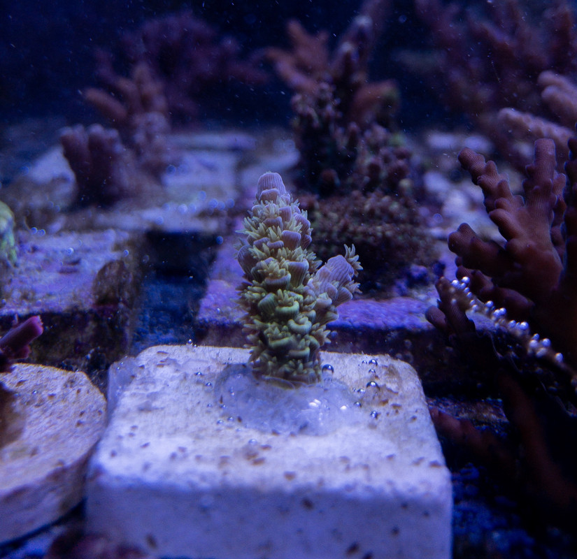 570660E8-E32F-480A-A7FA-8F2F53CE64E3