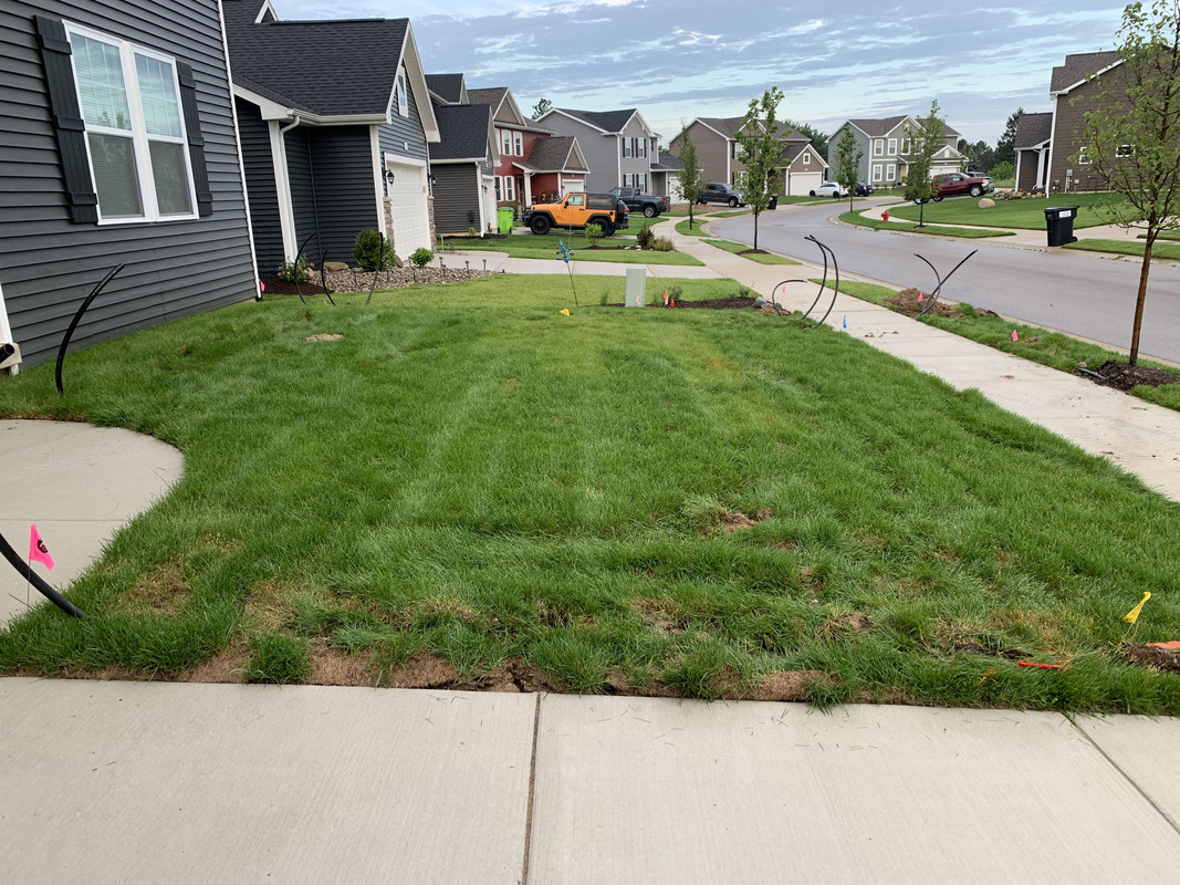 E95474A7-AE2D-43E5-9615-5DD22F73F065