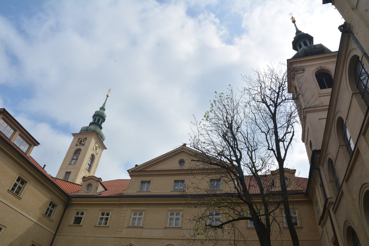 12.02 - DSC_9716 (Ater)