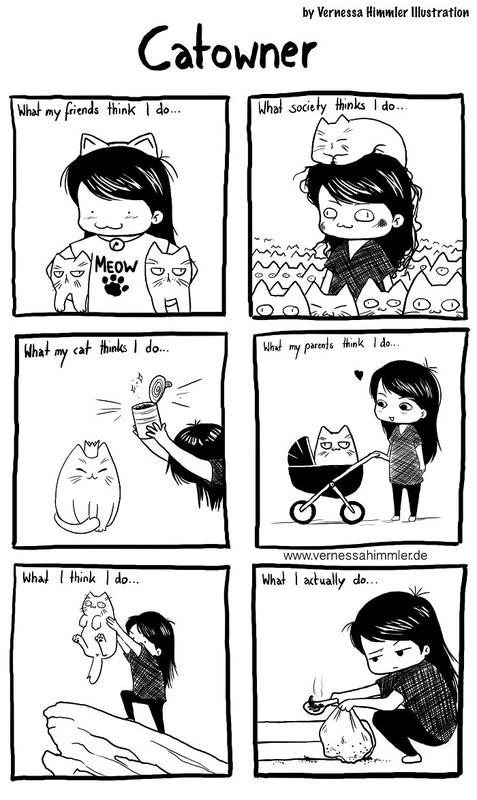 funny-cat-owner-life-comics-vernessa-him