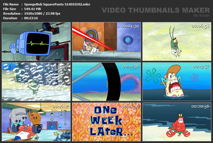 SpongeBob SquarePants S14E01E02.mkv