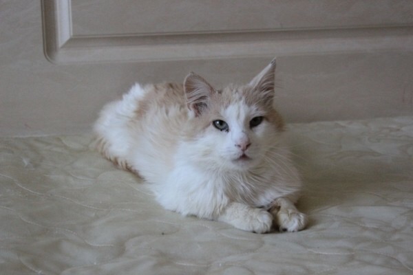 9025E0A3-C6E4-4DC6-B864-8FD160AB71AB