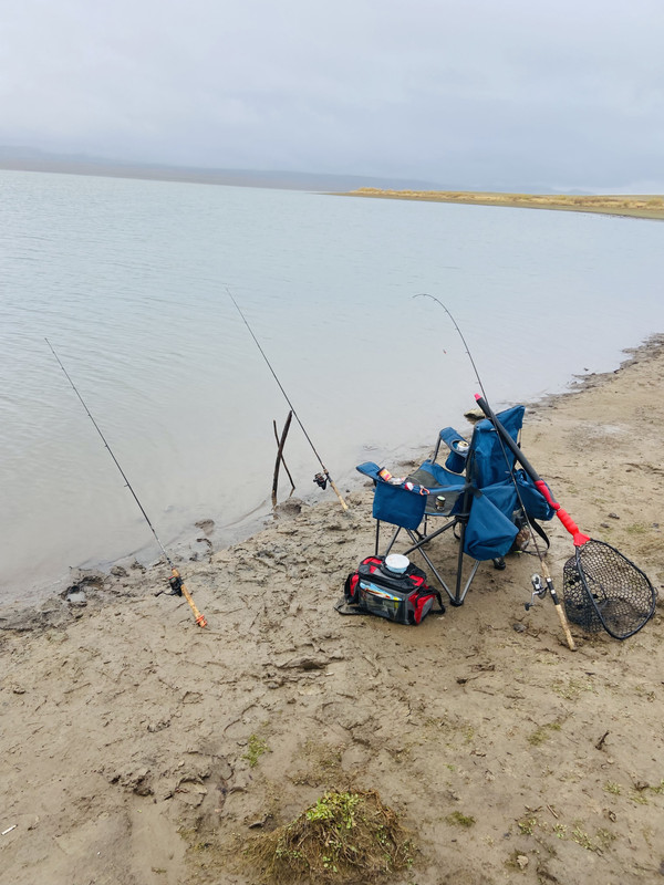 191DED07-23B4-4FC2-B328-8E383576018F