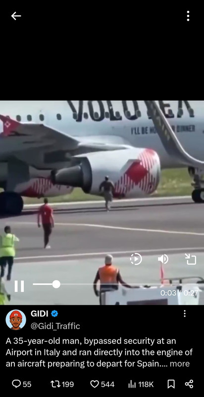 Chaos at Italian Airport as Man Runs Into Plane Engine, Dies on Runway