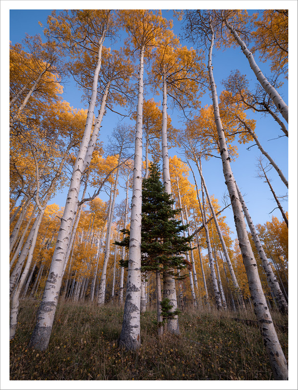 Ed2000-4x3TopazNik_DSF9862 copy