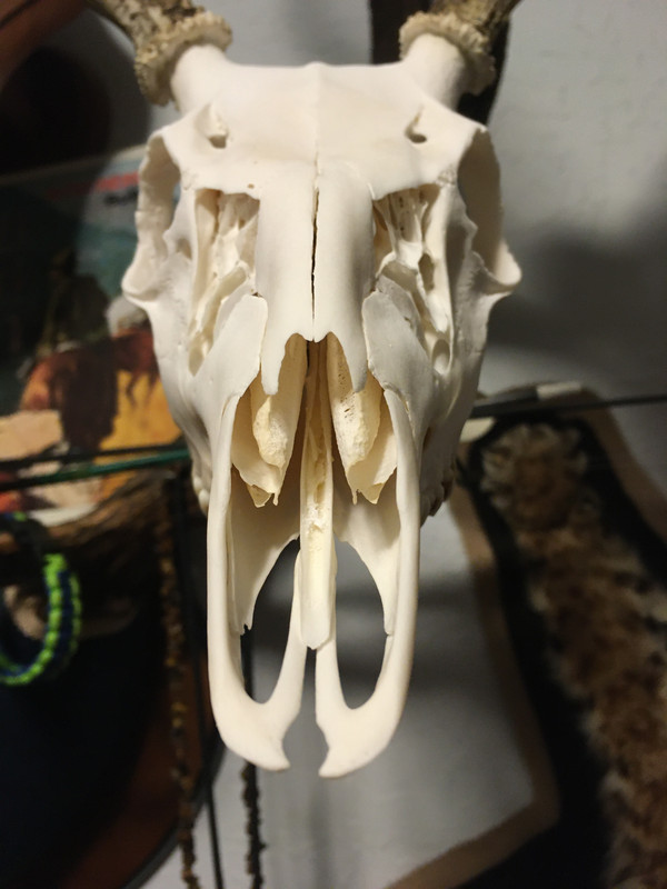 B1777B45-A895-44FB-93C6-0B7716C65C66