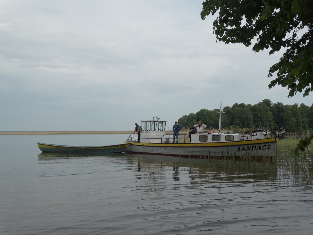 17 - DSC04053 (Czesio1)