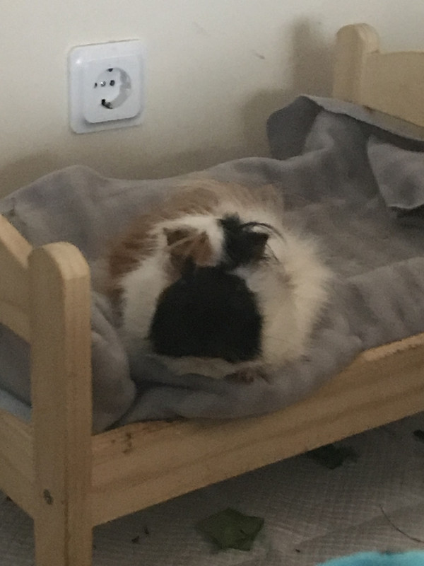 9224CF80-4BF1-4362-9FA3-C167327680A3