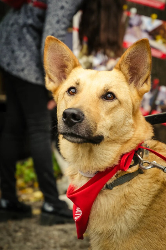 B4643EC2-0A01-46B1-8260-691BBBF8A1BB