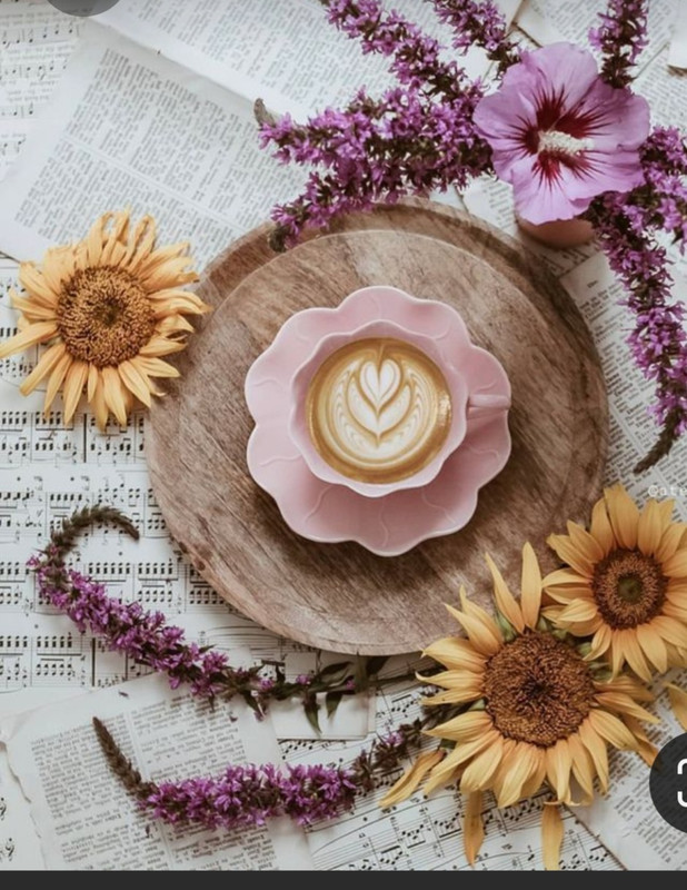 Screenshot_20230316_181410_Pinterest