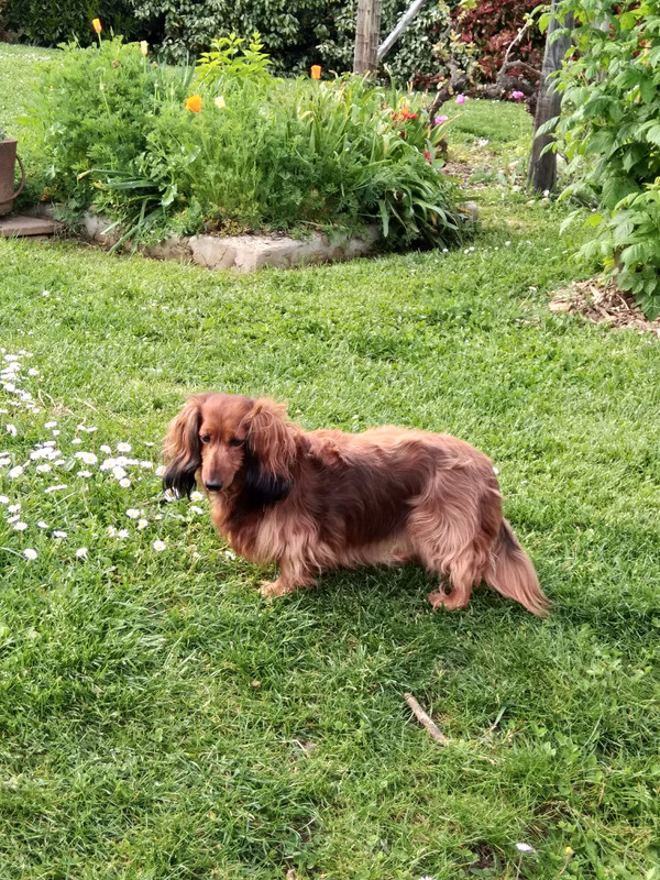 [Image: IMG-20230429-171409.jpg]