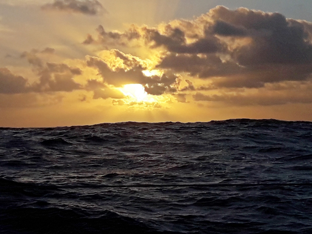 [Imagen: 20200212-085049.jpg]