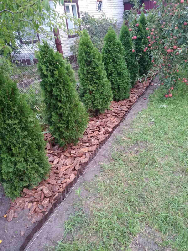 IMG-127ecc57aaaaae3b70a6c0294c5a2d49-V