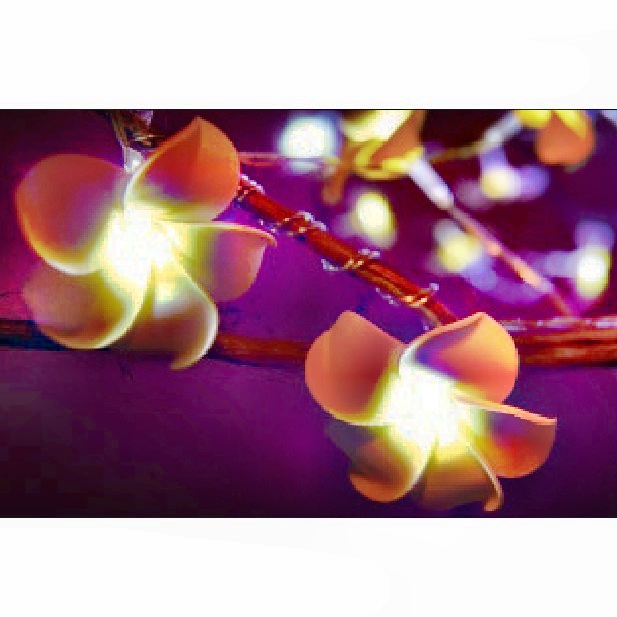 Solar String Light : 60292