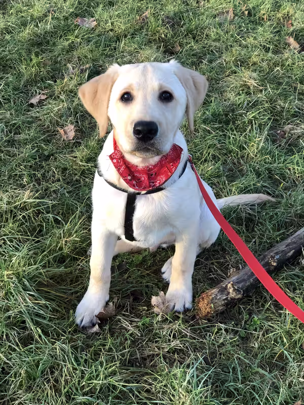 24147560-92D6-4D0B-9555-8A2BEFD6EFDF