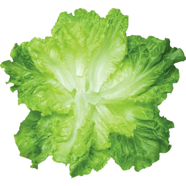Untitled565-20260327215644.png