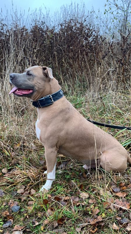 761C073A-8FA5-45AE-A1A8-3CA1AE8F88A7