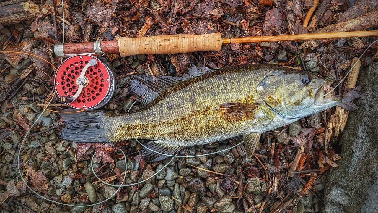 PXL_20240515_153659547-01