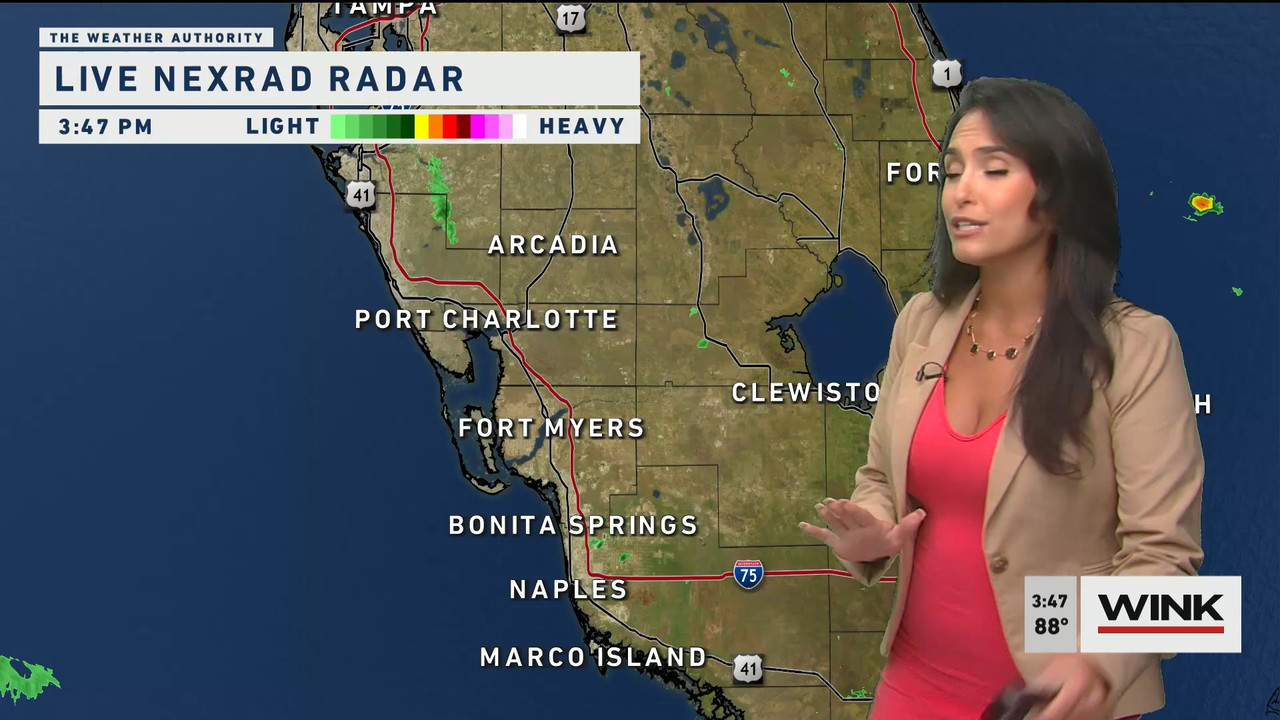 05.26 - 20.00.00 - WINK News at 3 00 p.m._001.ts_snapshot_02.17.270
