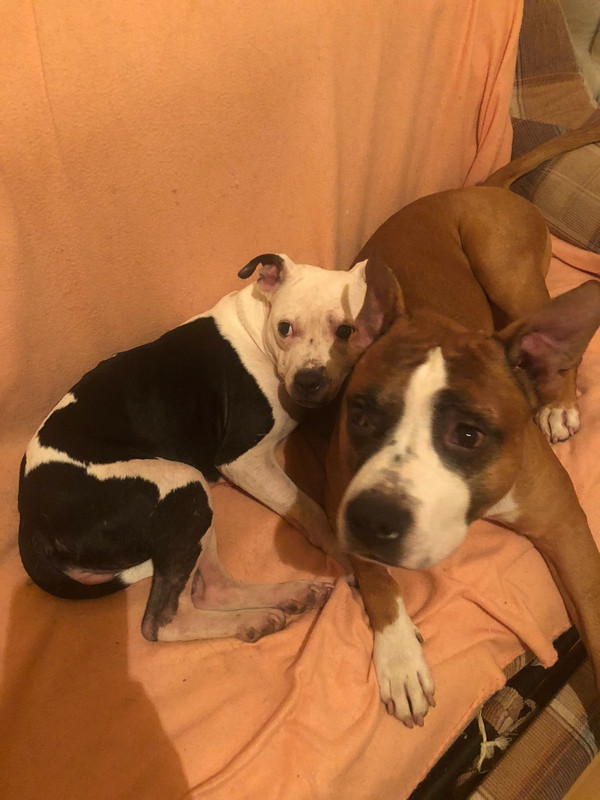 00A07A08-EE5E-455F-9D00-A786241C9EDC