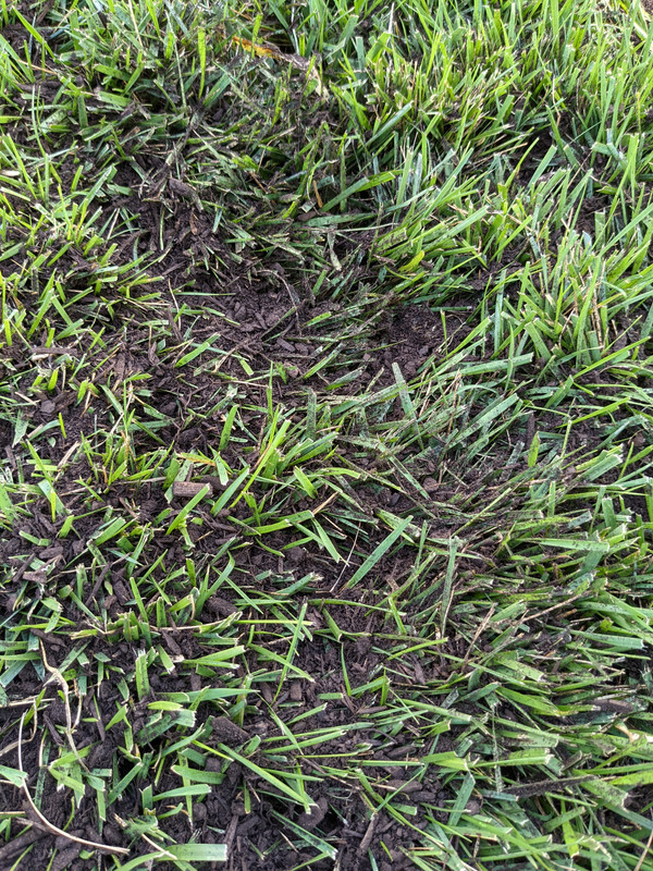 PXL_20210905_215037137