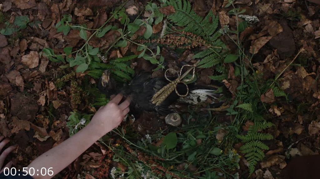 [Kép: Hamnet-2025-1080P-Webdl-H-264.png]