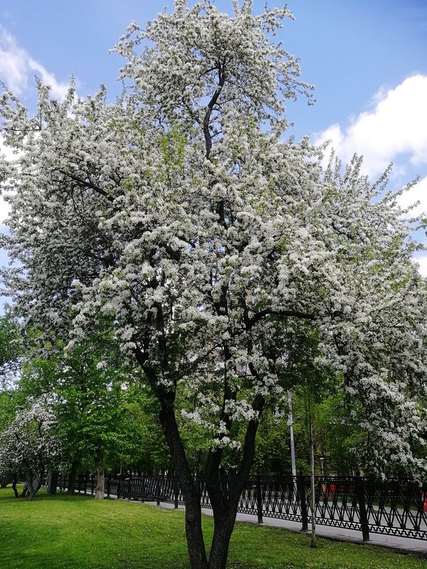 https://i.postimg.cc/FKRTx3zd/31-IMG-20220518-103104.jpg