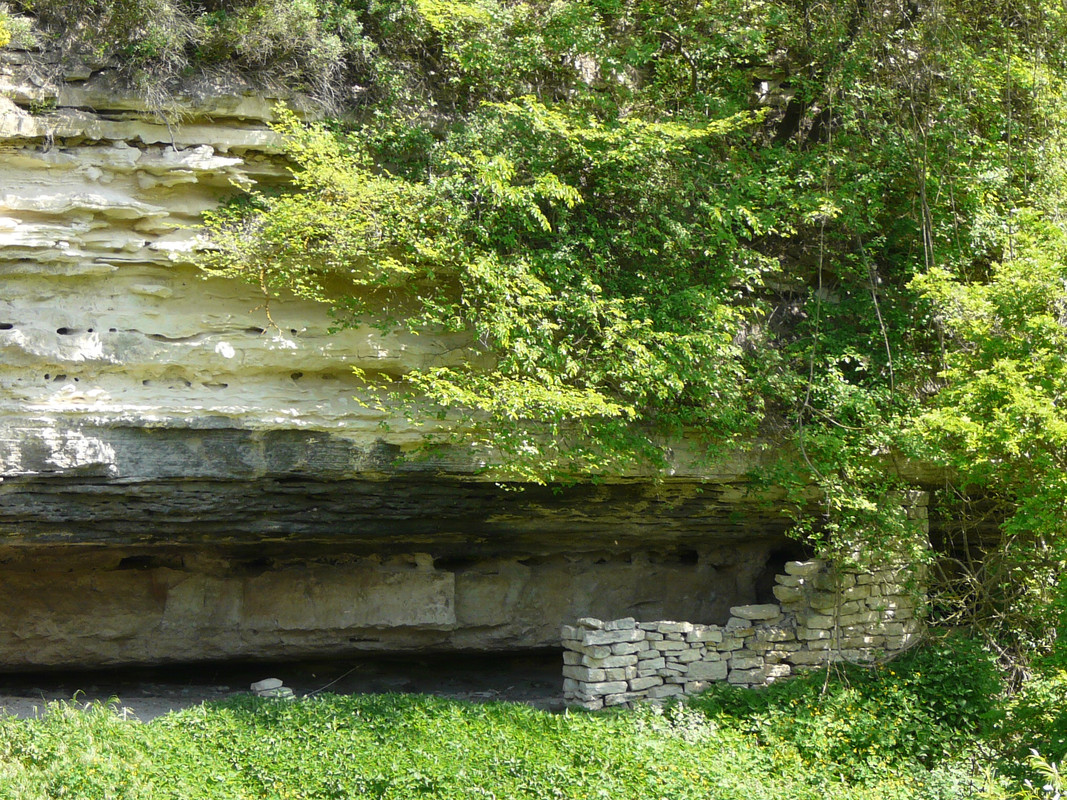 P1290435.jpg
