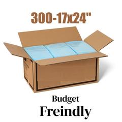 econo 17x24 11 10 2025