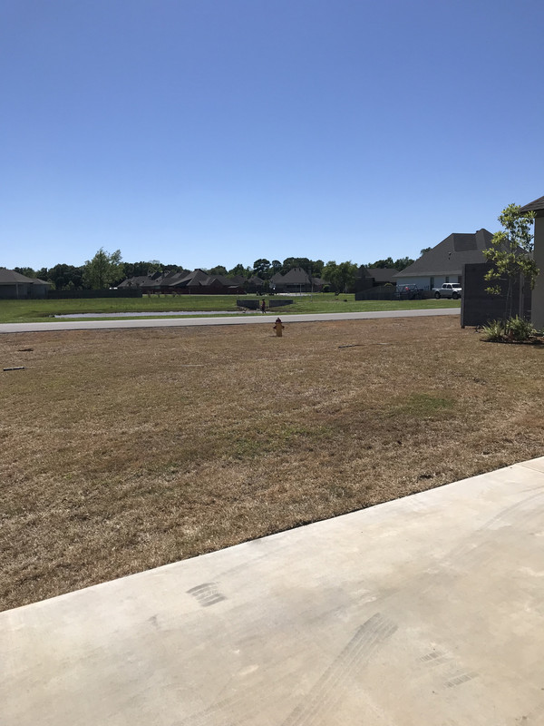 53F90703-C228-4D26-ACD2-37EFC90CB56F