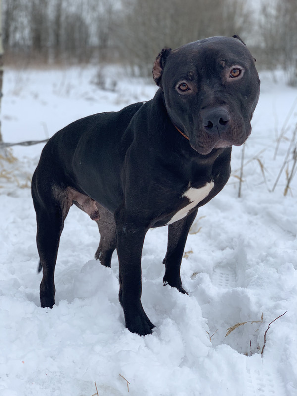 49B8038D-D5FB-439D-B908-A4CD51192C1E