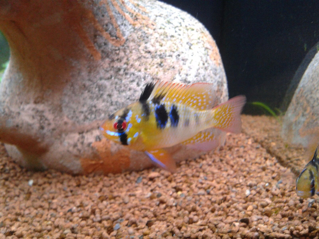 altAuXEwMsRO_534pNGsogOqji6LZvxjhmHU2s0jEeBWWmH